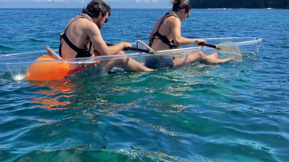 Enjoy New Zealand's marine life up close in your very own 100% transparent kayak at Te Motu Hāwere a Maki (Goat Island Marine Reserve), Leigh. This unique experience is unlike any other kayaking adventure!